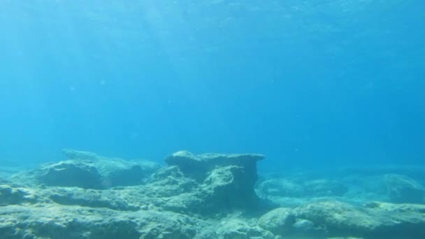 Underwater Exploring Clear Blue Waters Kefalonia Island Jonian Sea Greece — Vídeo de stock