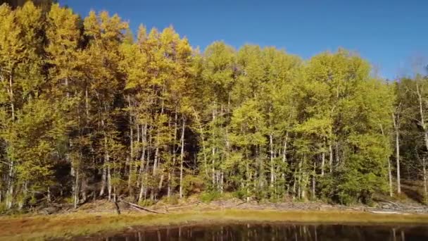 Scénický Podzimní Stromy Vedle Jezera Slunečného Dne Dron Letí Bokem — Stock video