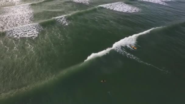 Vista Aérea Del Surfista Montando Olas Playa Tropical — Vídeos de Stock