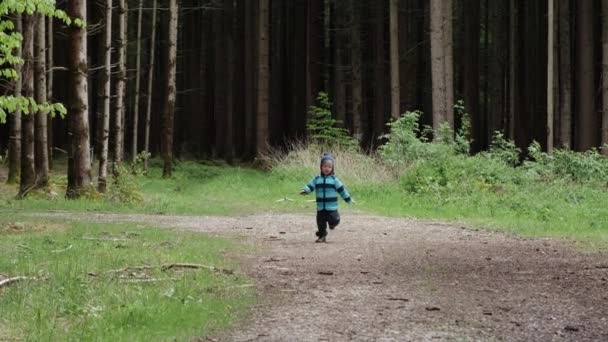 Toddler Kamera Felé Rohan Egy Bajor Erdőben Lassított Felvételen Rálőttek — Stock videók