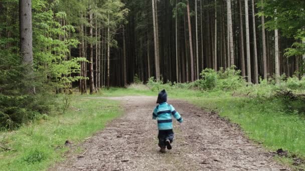 Criança Fugindo Câmera Uma Floresta Bávara Tiro Tripé Câmera Lenta — Vídeo de Stock