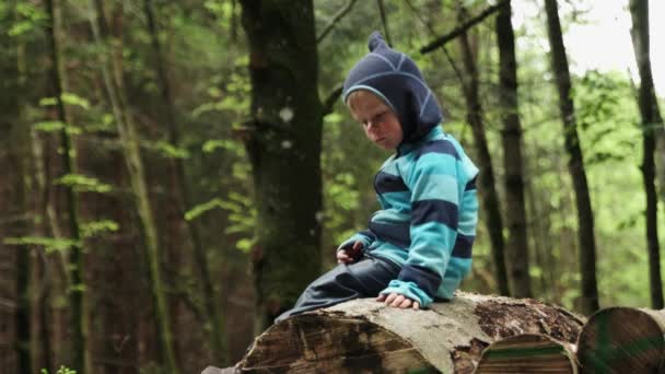 Ragazzo Siede Tronco Nella Foresta Poi Gira Guardarsi Spalle Girato — Video Stock