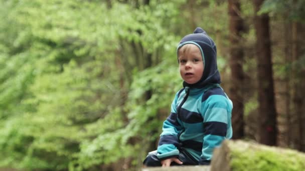 Young Boy Sitting Log Forest Looking Concerned Camera Shot Tripod — Stock Video
