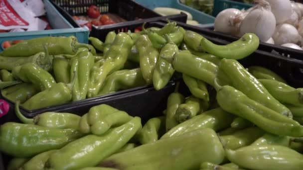野菜市場で新鮮な緑PimientosデPadronピーマン 市場のカウンターで健康的な緑のピーマンの束 伝統市場 — ストック動画