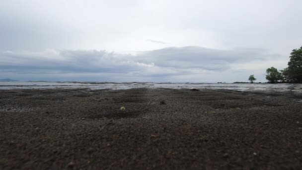 Vista Ravvicinata Livello Del Suolo Onde Dolci Una Spiaggia Sabbiosa — Video Stock