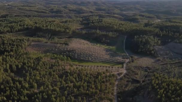 공중에서는 포르투 구인들의 시골에 올리브 나무가 모습을 수있으며 드론은 농장을 — 비디오