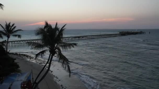 Drone Filmato Cocco Silhouette Con Bel Tramonto Ponte Sole Dietro — Video Stock