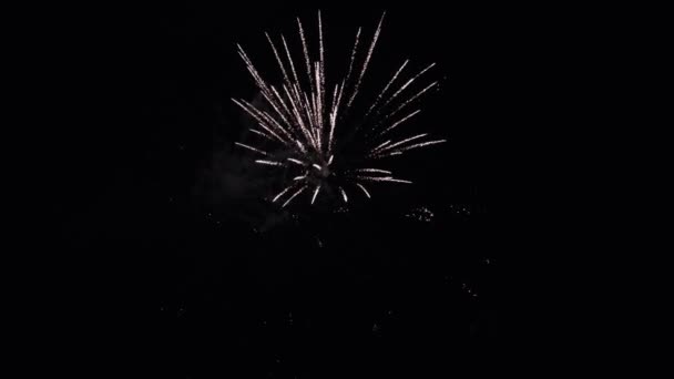 Scurt Set Focuri Artificii Mari Filmate Mișcare Lentă — Videoclip de stoc