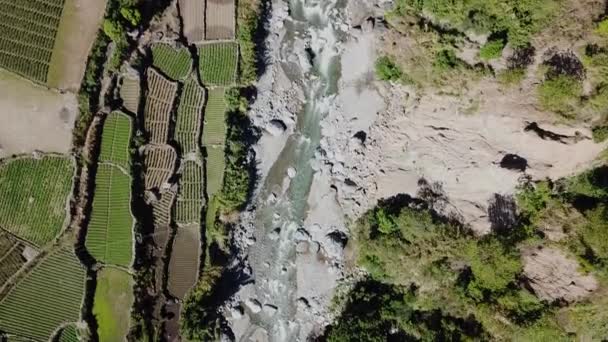 Nehir Yolu Tarlaları Çiftçiler Pirinç Köfteleri Bahçeleri Güneşli Bir Günde — Stok video