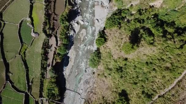 川をまたぐ金属製の吊り橋は 農家の水田の庭晴れた日の歩道鳥の目のビューのトップダウン — ストック動画