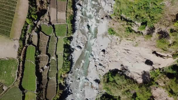 Água Rio Montanha Rochosa Que Flui Lado Fazendas Arroz Paddy — Vídeo de Stock