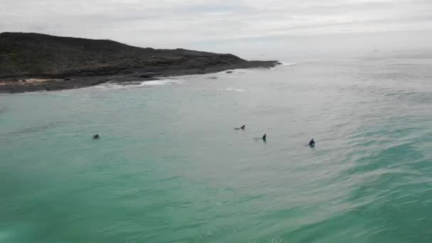 Ομάδα Surfers Περιμένουν Για Ένα Κύμα Στην Όμορφη Παραλία Moonee — Αρχείο Βίντεο