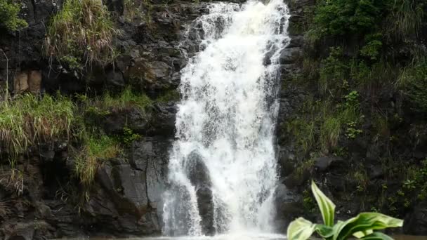 ハワイ州での滝のスローモーションビデオ 大きな滝や熱帯の崖 オアフ島の北海岸の荒れ狂う水 — ストック動画