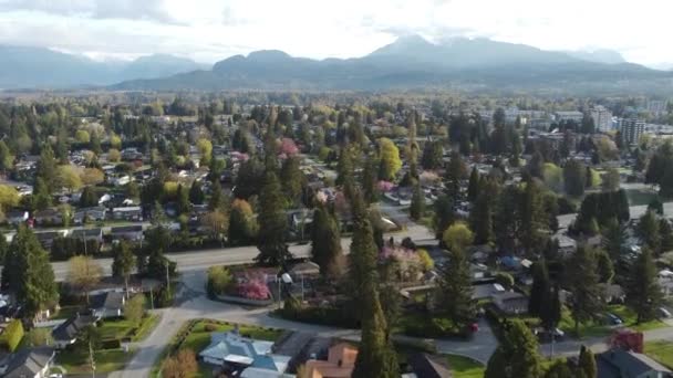 Vackra Förorten British Columbia Drönare Film Berg Bakgrunden Maple Ridge — Stockvideo