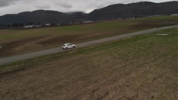 White 2019 Toyota Corolla Hatchback Спортивний Седан Їде Сільській Фермі — стокове відео