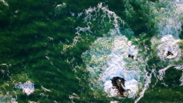 Aerial Birds Eye Dark Green Waves Pacific Ocean Approaching Coastline — Vídeo de stock