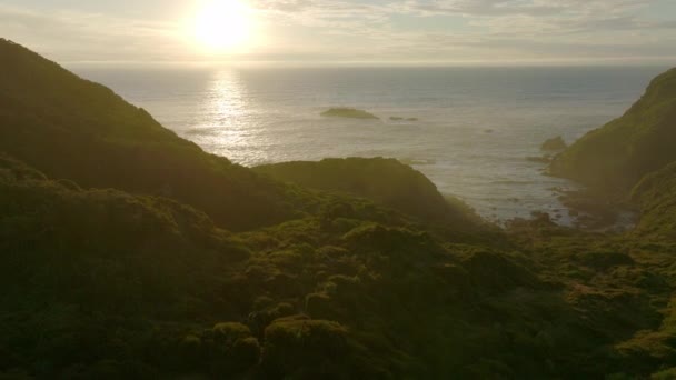 Aerial Cinematic Shot Flying Lush Forested Coastline Chiloe Island Golden — Vídeo de stock