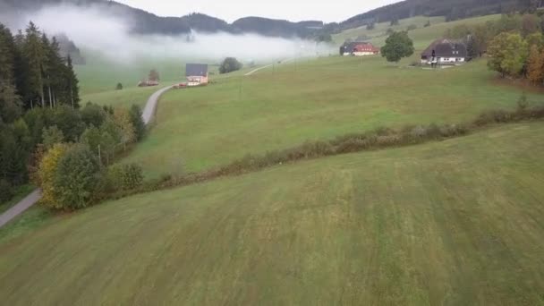 Ranní Mlha Visí Nízko Malebném Zeleném Zemědělském Údolí Evropě — Stock video