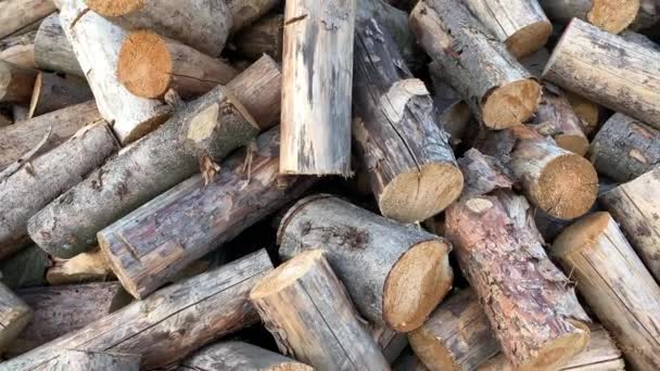 Cięte Drewno Zimowego Ogrzewania Kominka Stos Drewna Opałowego Zamknij Okrągłe — Wideo stockowe