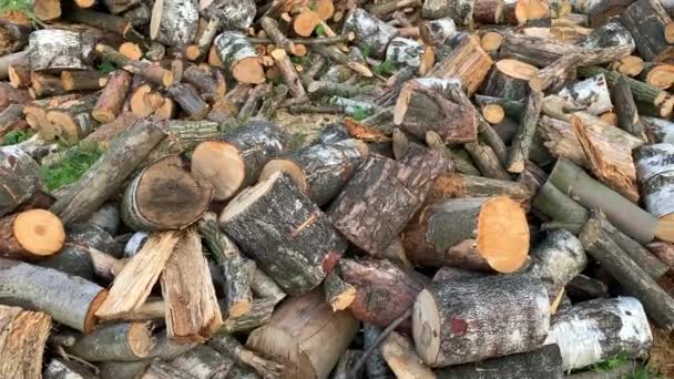 Sluiten Van Gehakt Brandhout Stapel Houtblokken Voor Het Branden Maat — Stockvideo