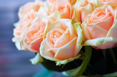 Doğal pastel gül arka plan