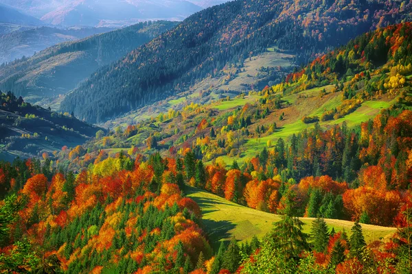 The mountain autumn landscape with colorful forest — Stock Photo, Image