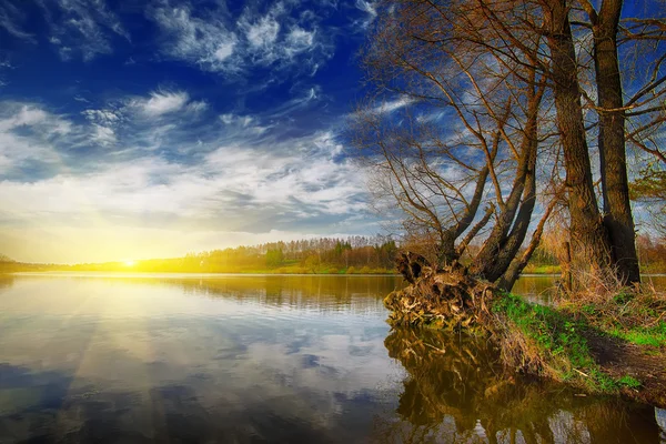 Lake shore e uma bela paisagem nublada — Fotografia de Stock