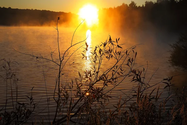 Belo pôr do sol sobre lago calmo. — Fotografia de Stock