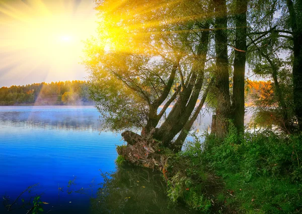 La rive du lac et un beau paysage nuageux — Photo