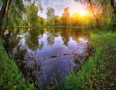 Tranquil Pond Çerçeveli Lush Green Woodland Park Sunshine