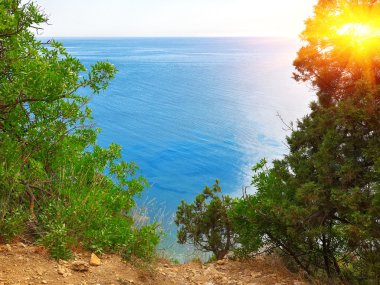 Deniz dallarda aracılığıyla görüntülemek