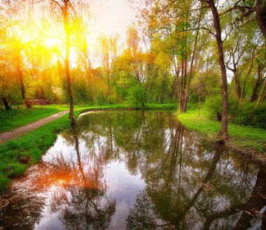 Akşam güneşi ağaçlarda Şehir Parkı bir su birikintisi yakın: