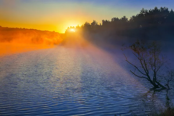 Nascer do sol no lago. — Fotografia de Stock