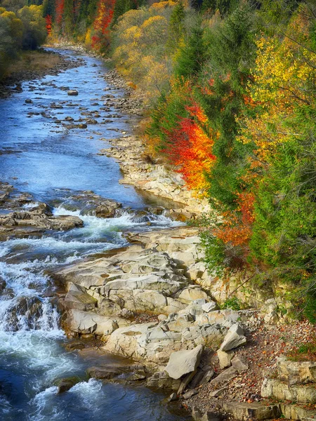 Otoño arroyo bosques y rocas en la montaña del bosque . — Foto de Stock