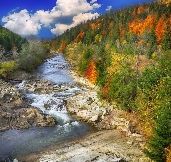 Ruisseau d'automne bois et rochers en montagne forestière . — Photo