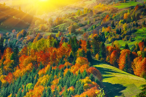 El paisaje de otoño de montaña con bosque colorido — Foto de Stock