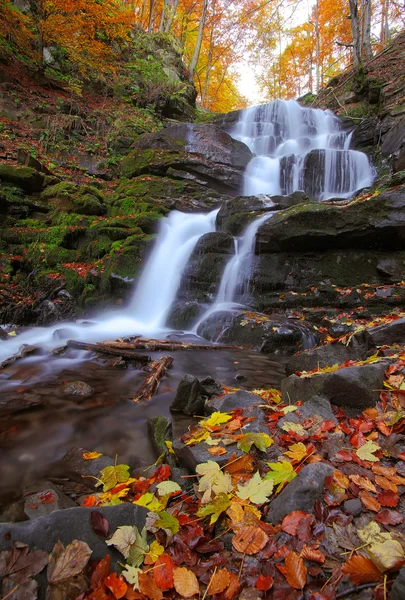 Beautiful waterfall in forest at sunset — Stock Photo, Image