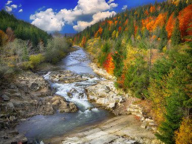 Sonbahar creek orman ve orman dağ kayalarda.
