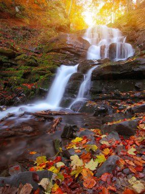Gün batımında ormandaki güzel şelale.