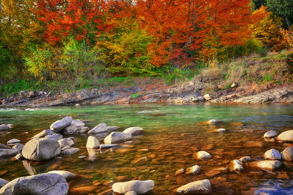 Vista do rio da montanha na hora do outono — Fotografia de Stock