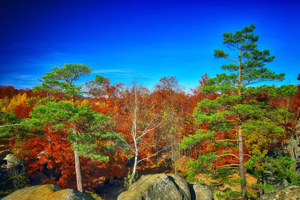 Schöne Berglandschaft — Stockfoto