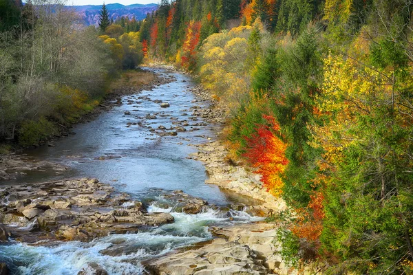 stock image Autumn creek woods  and rocks in forest mountain.