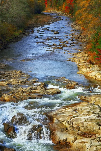 Herfst creek bossen en rotsen in het woud berg. — Stockfoto