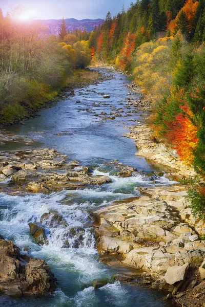 秋の川森と森山の岩. — ストック写真