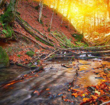 hızlı dağ nehir Güz