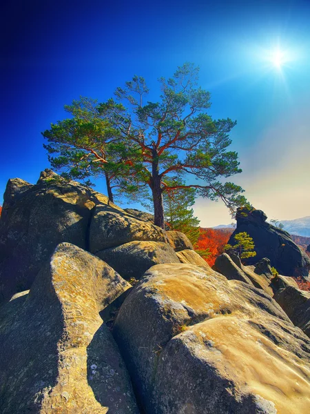 Beautiful mountain Landscape — Stock Photo, Image