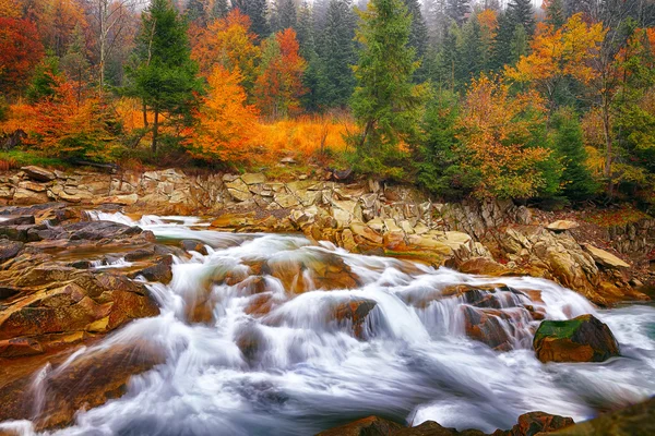 Rio rápido da montanha no outono — Fotografia de Stock