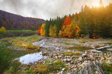 Sonbahar zaman nehir dağ manzarası