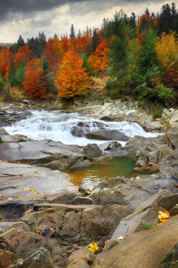 Sonbahar zaman nehir dağ manzarası
