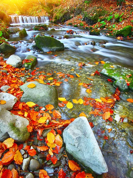 Rapid mountain river in autumn — Stock Photo, Image